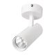 Elmark TLOM COB LIGHT 15W 220-240V semlegesfehér színhő (NW, 4000K) 24° fekete 93TLOM1540/BL - elektrobagoly.hu