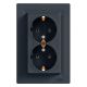 Schneider Electric ASFORA 2x2P+F dugaljzat,csavar antracit, kerettel EPH9900171 - elektrobagoly.hu