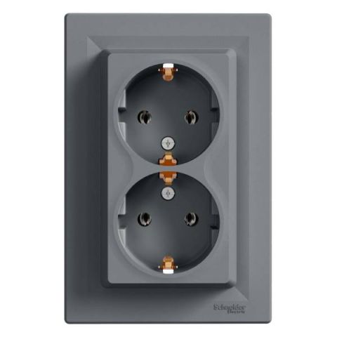 Schneider Electric ASFORA 2x2P+F dugaljzat,csavar acél, kerettel EPH9900162 - elektrobagoly.hu