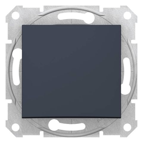 Schneider Electric SEDNA 1P kapcsoló rugós bekötésű 10A, grafit (101)  SDN0100170 - elektrobagoly.hu