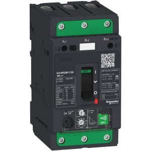 GV4PEM115N motorvédő.115A,50kA, Everlink