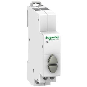 Schneider Electric ACTI9 iPB dupla nyomógomb.2NO, szürke-szürke A9E18035 - elektrobagoly.hu