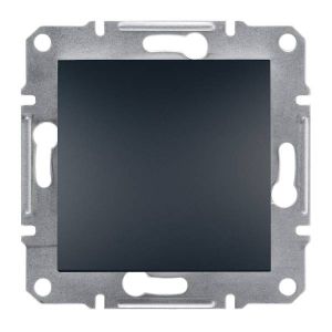 Schneider Electric ASFORA Vakfedél, antracit, keret nélkül EPH5600171 - elektrobagoly.hu