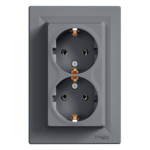 Schneider Electric ASFORA 2x2P+F dugaljzat,csavar acél, kerettel EPH9900162 - elektrobagoly.hu